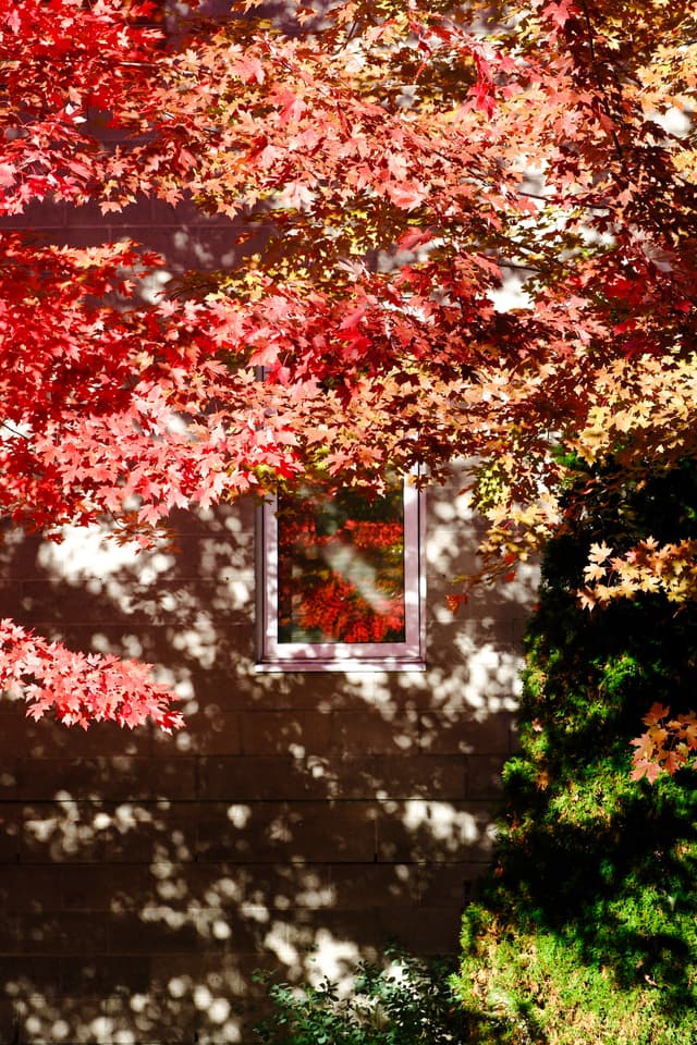16 OCT 25
