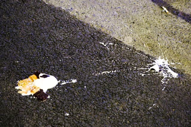 22 AUG 25