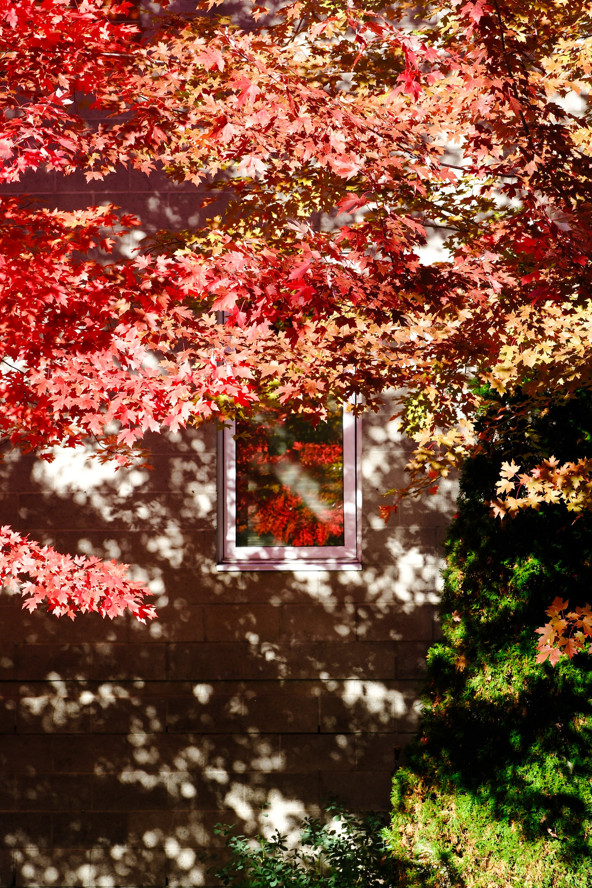 16 OCT 25